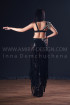 Professional bellydance costume (classic 192a)